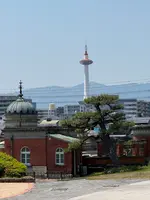 東京国立博物館の写真・動画_image_758479