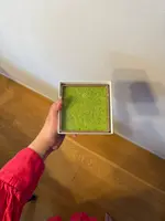 甘味 みつや 仲見世通り店の写真・動画_image_760249