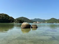 カトリック堂崎天主堂の写真・動画_image_763086