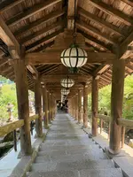 長谷寺の写真・動画_image_764665