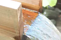 喫茶 竹の熊の写真・動画_image_764753