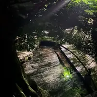 水源けやきの写真・動画_image_764764