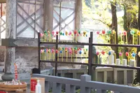 小国両神社の写真・動画_image_764774
