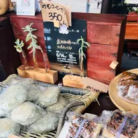 神子田朝市の写真・動画_image_765038