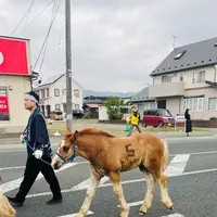 鬼越蒼前神社の写真・動画_image_765047