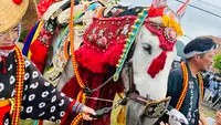 鬼越蒼前神社の写真・動画_image_765048