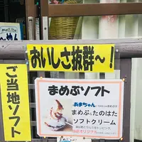 北山崎の写真・動画_image_765056