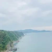 鵜の巣断崖の写真・動画_image_767261