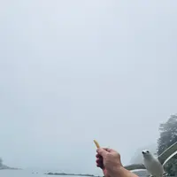 浄土ヶ浜の写真・動画_image_767274