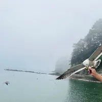 浄土ヶ浜の写真・動画_image_767275