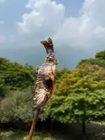 山麓亭三峰お犬茶屋の写真・動画_image_767982