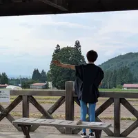 トトロの森の写真・動画_image_768133