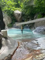 姥湯温泉 桝形屋の写真・動画_image_768137