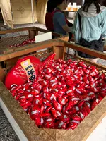 川越氷川神社の写真・動画_image_768878