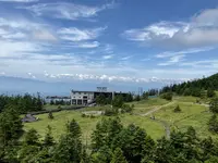 坪庭の写真・動画_image_769286