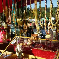 ローズボウルの写真・動画_image_769397