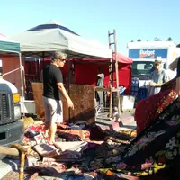 ローズボウルの写真・動画_image_769400