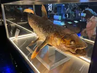 沼津港深海水族館の写真・動画_image_769797
