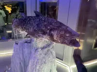 沼津港深海水族館の写真・動画_image_769799
