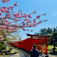 高山稲荷神社の写真・動画_image_771211