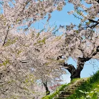 五稜郭公園の写真・動画_image_771277