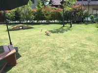 山崎町田井２２８の写真・動画_image_77184