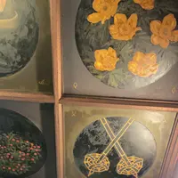 エーデルワイスの写真・動画_image_773665