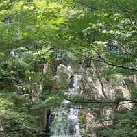 徳川園の写真・動画_image_773754