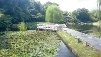 徳川園の写真・動画_image_773805