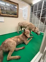 北海道大学植物園の写真・動画_image_775751