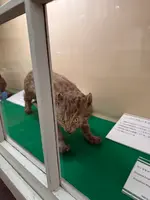 北海道大学植物園の写真・動画_image_775755