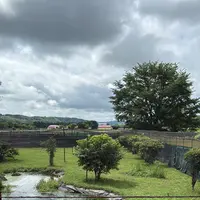 阿寒国際ツルセンター「グルス」の写真・動画_image_775778