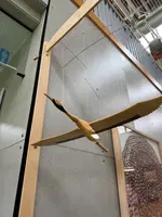 阿寒国際ツルセンター「グルス」の写真・動画_image_775779