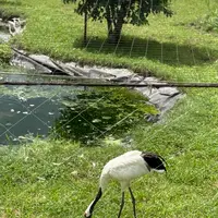 阿寒国際ツルセンター「グルス」の写真・動画_image_775782