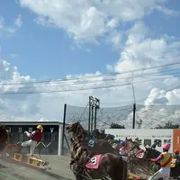 帯広競馬場（ばんえい十勝）の写真・動画_image_775784