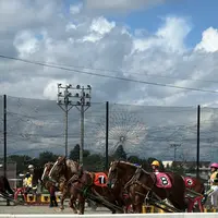 帯広競馬場（ばんえい十勝）の写真・動画_image_775785