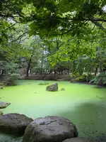 帯廣神社の写真・動画_image_775796