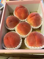 里見農園の写真・動画_image_775948