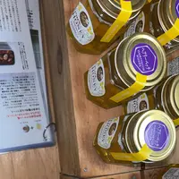 昇仙峡影絵の森美術館の写真・動画_image_775952