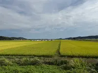 道の駅ましこの写真・動画_image_776083