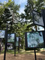 MMoP（モップ）の写真・動画_image_776237