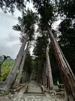 身延山 久遠寺の写真・動画_image_777103