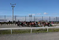 帯広競馬場（ばんえい十勝）の写真・動画_image_77764