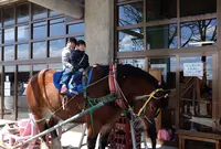 帯広競馬場（ばんえい十勝）の写真・動画_image_77768