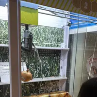 うずの丘　大鳴門橋記念館の写真・動画_image_780360