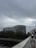 横浜みなとみらい 万葉倶楽部の写真・動画_image_780931