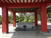 甲斐善光寺の写真・動画_image_782425