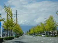 甲斐善光寺の写真・動画_image_782429