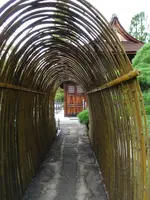 東光寺の写真・動画_image_782446