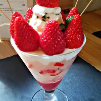 フルーツカフェ 花の木の写真・動画_image_78368